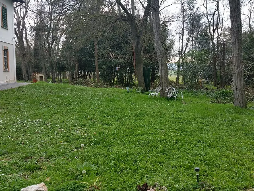 Immagine 13 di Rustico / casale in vendita  a Pisa