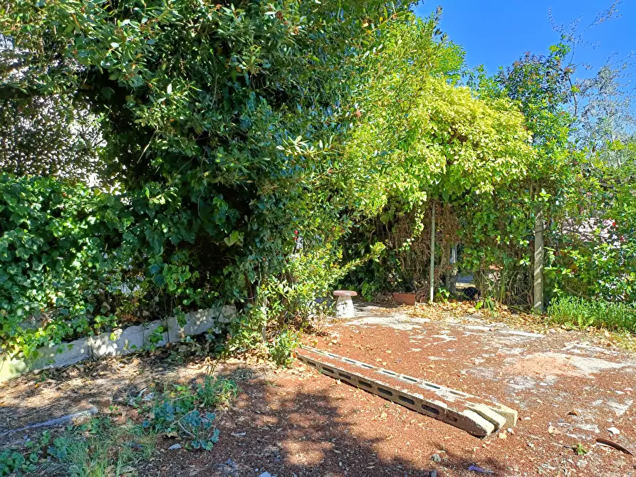 Immagine 27 di Appartamento in vendita  a Empoli