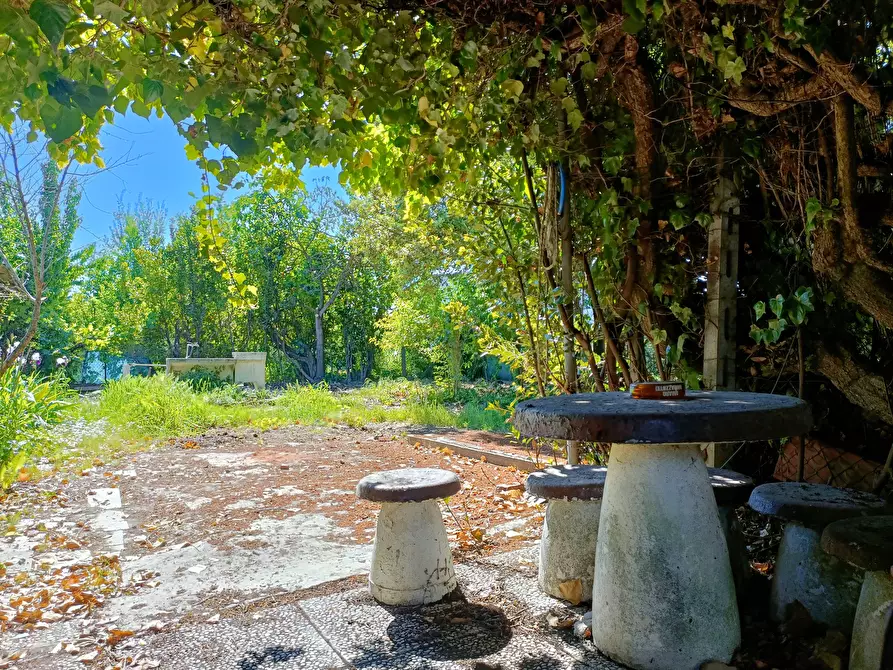 Immagine 29 di Appartamento in vendita  a Empoli