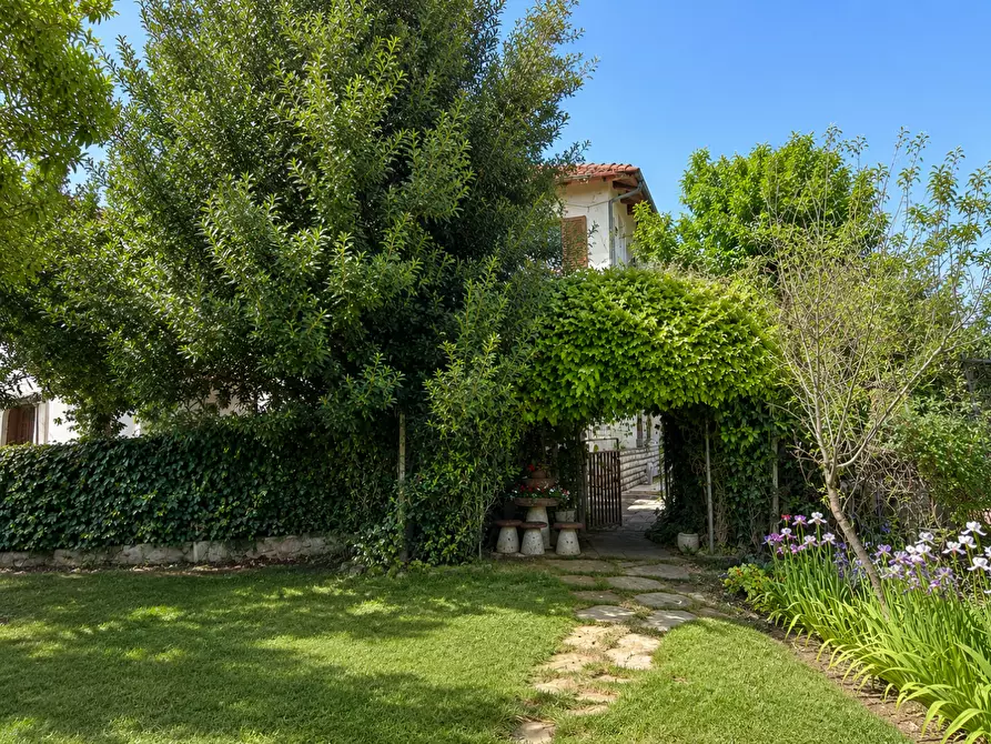 Immagine 25 di Appartamento in vendita  a Empoli