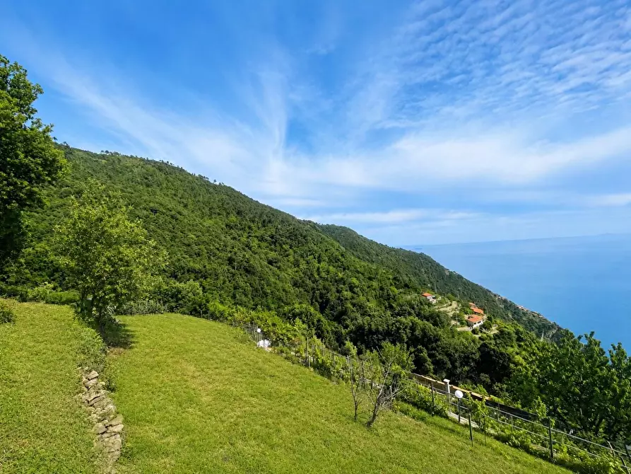 Immagine 4 di Rustico / casale in vendita  a La Spezia
