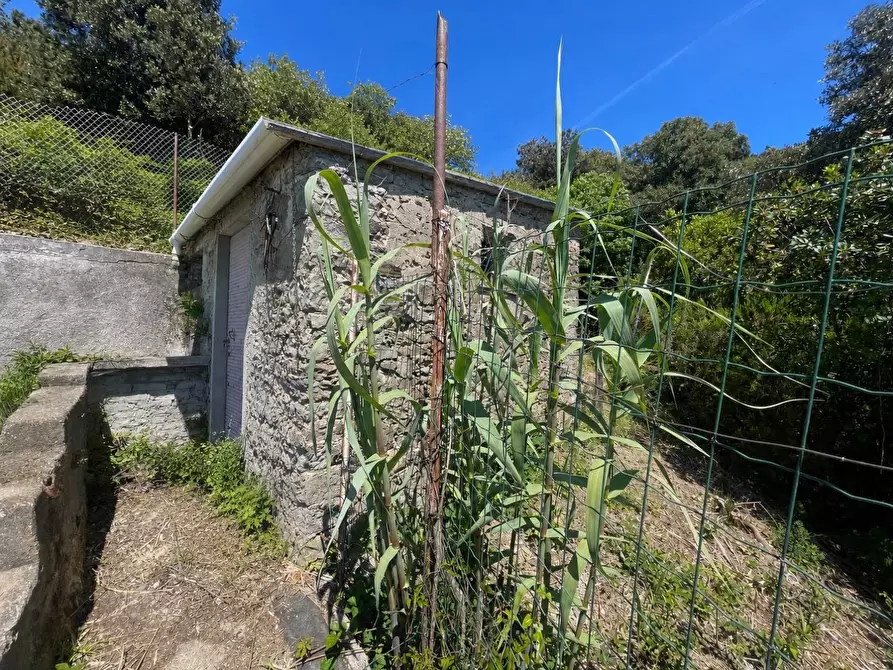 Immagine 8 di Rustico / casale in vendita  a La Spezia