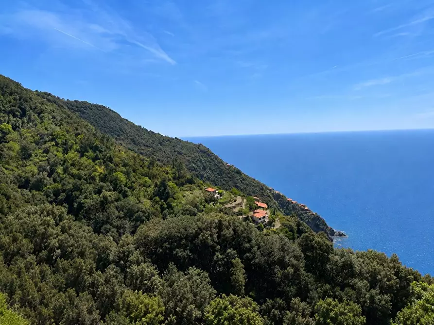 Immagine 10 di Rustico / casale in vendita  a La Spezia
