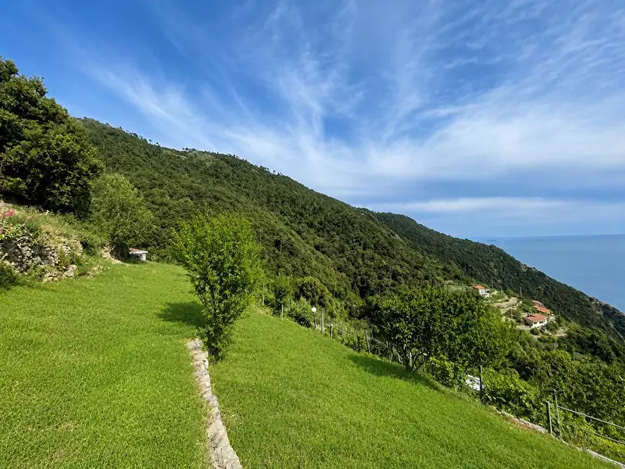 Immagine 5 di Rustico / casale in vendita  a La Spezia