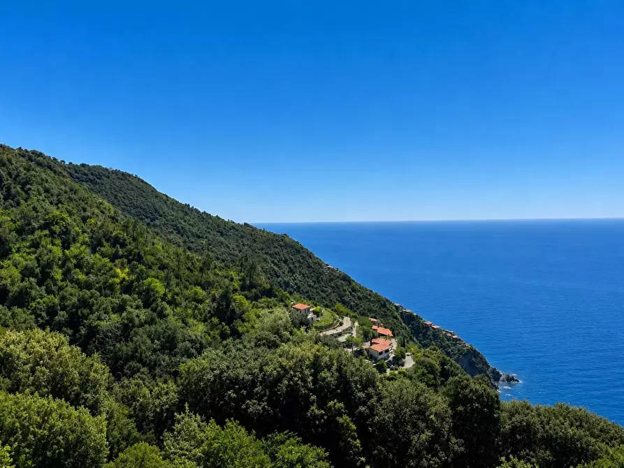 Immagine 2 di Rustico / casale in vendita  a La Spezia