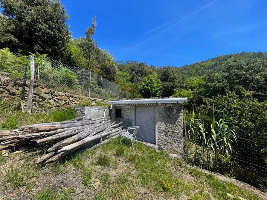 Immagine 7 di Rustico / casale in vendita  a La Spezia