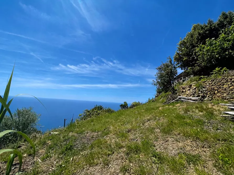 Immagine 6 di Rustico / casale in vendita  a La Spezia
