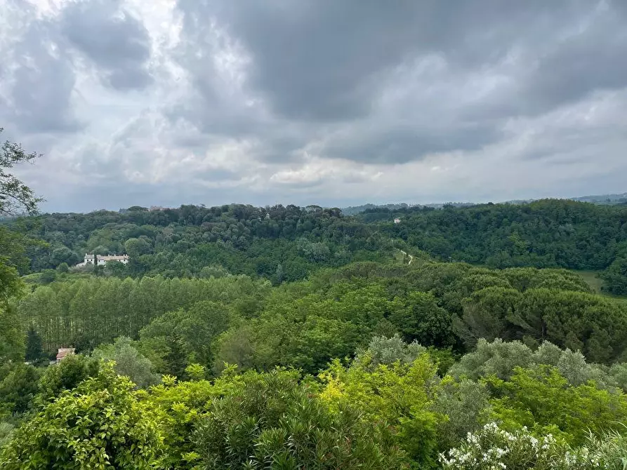 Immagine 22 di Villa in vendita  a Crespina Lorenzana