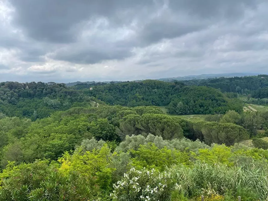 Immagine 28 di Villa in vendita  a Crespina Lorenzana
