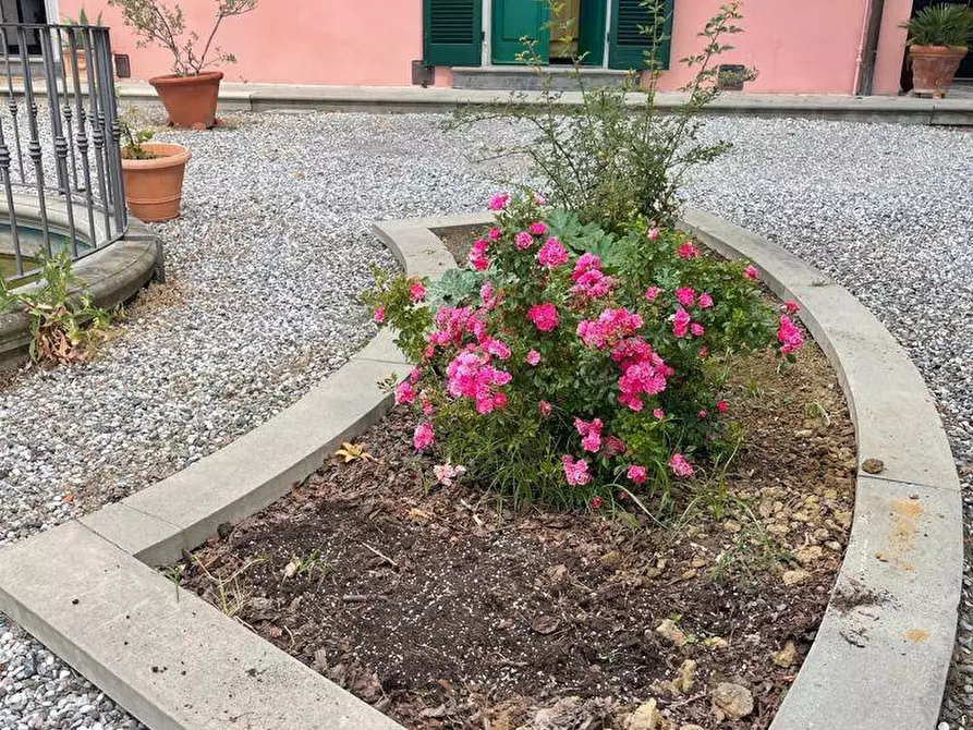 Immagine 24 di Villa in vendita  a Crespina Lorenzana
