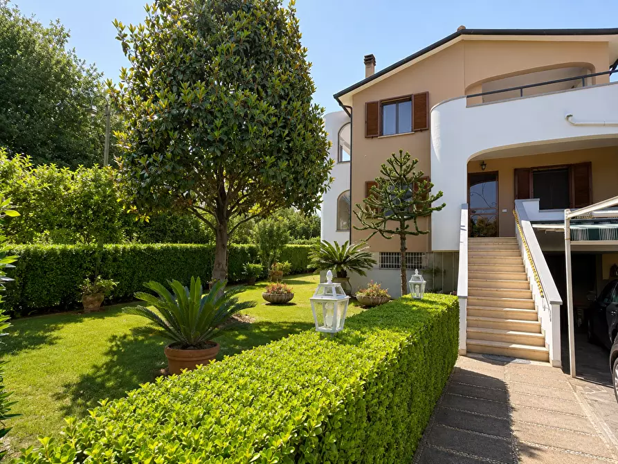 Immagine 20 di Appartamento in vendita  a Bibbona