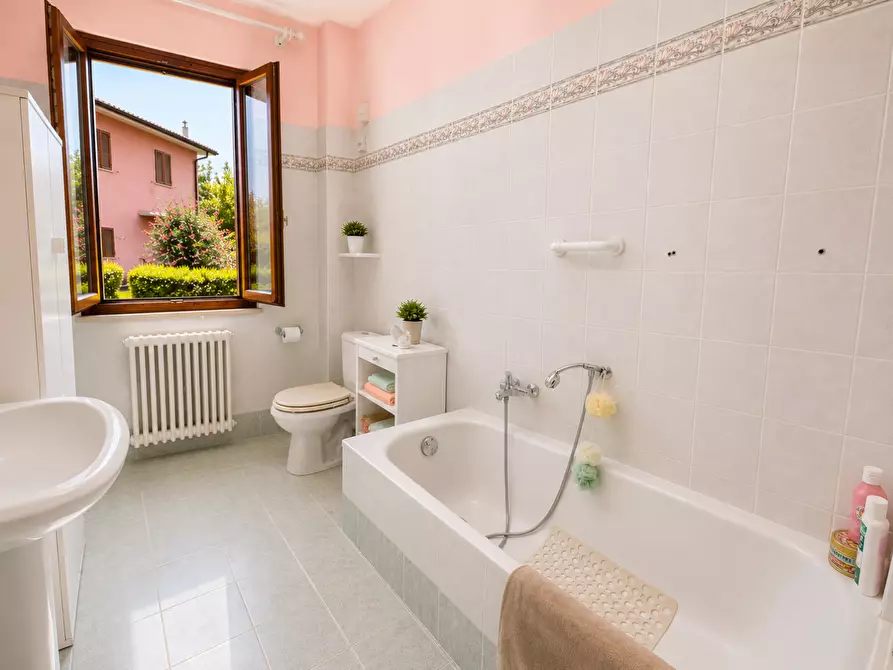 Immagine 10 di Appartamento in vendita  a Bibbona