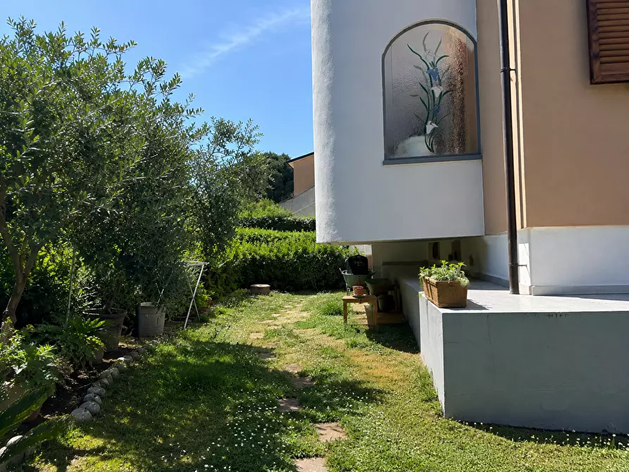 Immagine 21 di Appartamento in vendita  a Bibbona