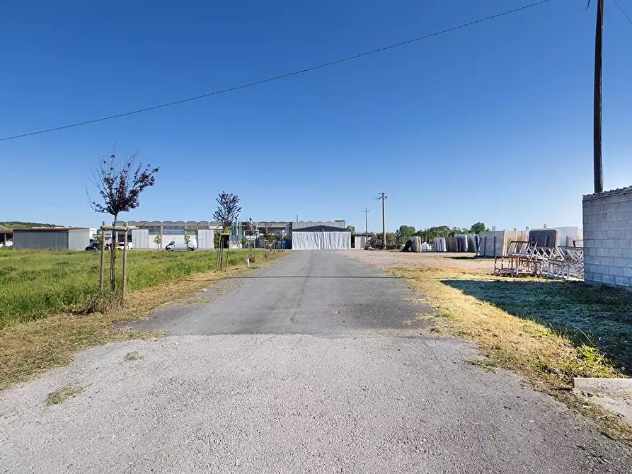 Immagine 9 di Capannone industriale in vendita  a Casciana Terme Lari