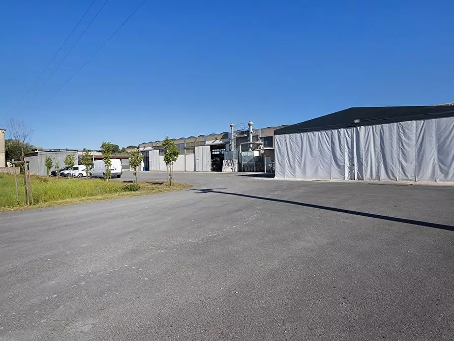Immagine 11 di Capannone industriale in vendita  a Casciana Terme Lari