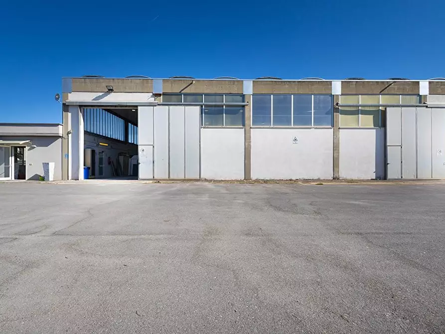 Immagine 12 di Capannone industriale in vendita  a Casciana Terme Lari