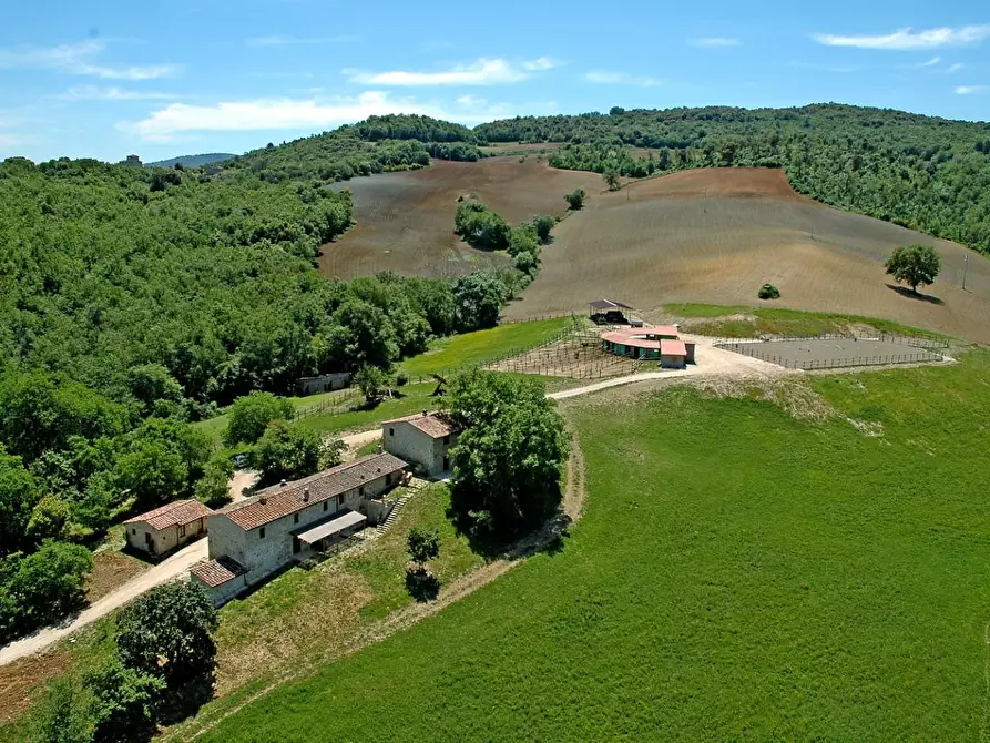 Immagine 6 di Terreno residenziale in vendita  a Casole D'elsa