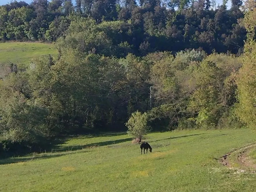 Immagine 3 di Terreno residenziale in vendita  a Casole D'elsa
