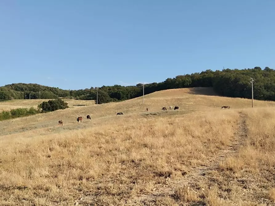 Immagine 1 di Terreno residenziale in vendita  a Casole D'elsa