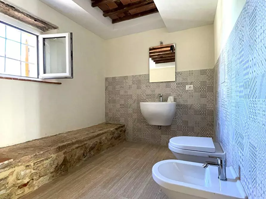 Immagine 17 di Villa in vendita  a Pietrasanta