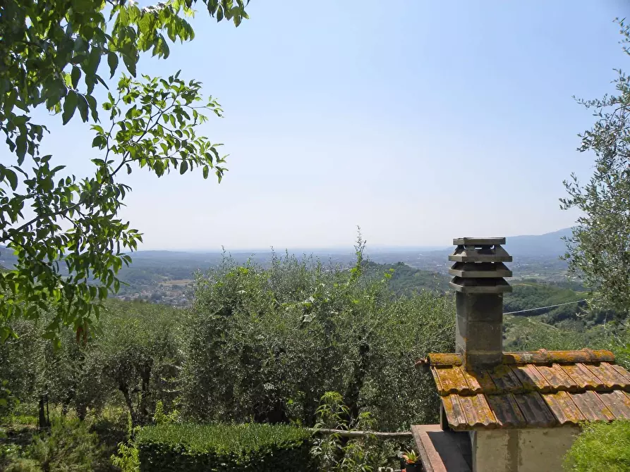 Immagine 5 di Rustico / casale in vendita  a Lucca