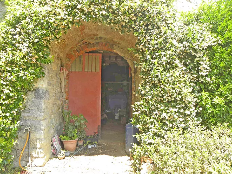 Immagine 8 di Rustico / casale in vendita  a Lucca
