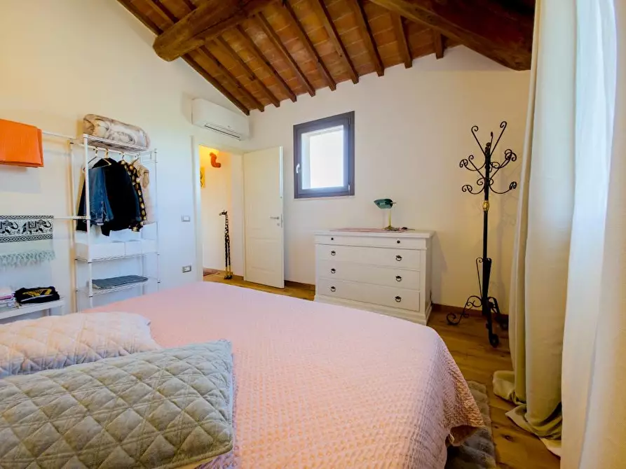 Immagine 44 di Rustico / casale in vendita  a Lajatico