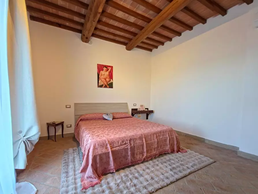 Immagine 39 di Rustico / casale in vendita  a Lajatico