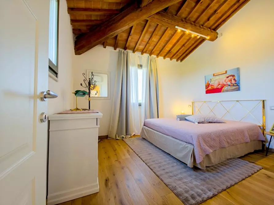 Immagine 48 di Rustico / casale in vendita  a Lajatico