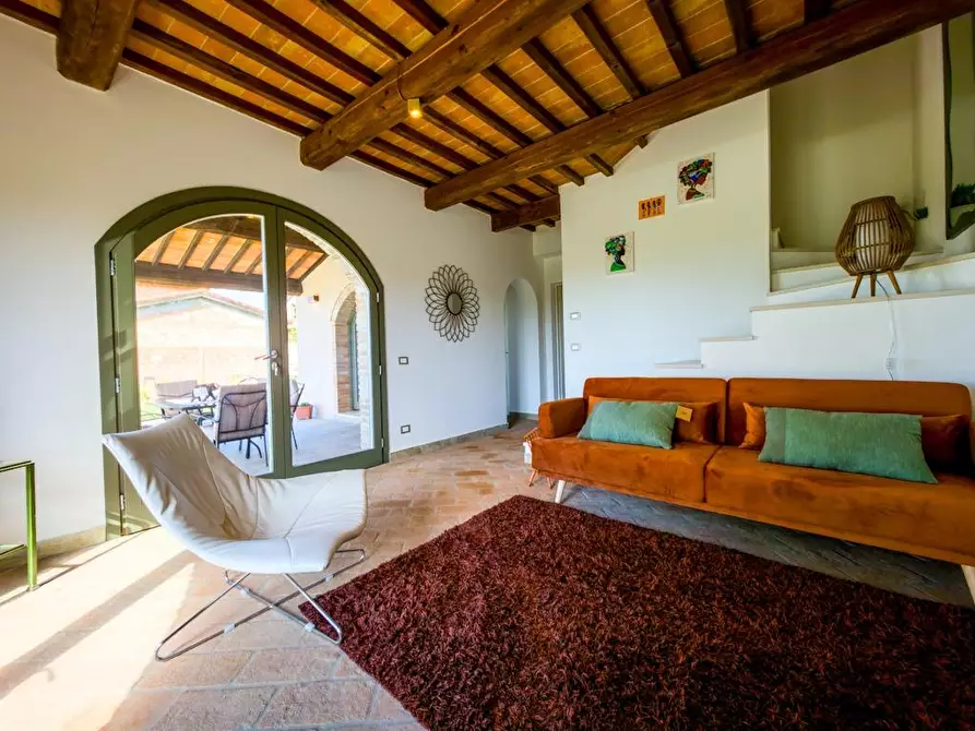 Immagine 23 di Rustico / casale in vendita  a Lajatico
