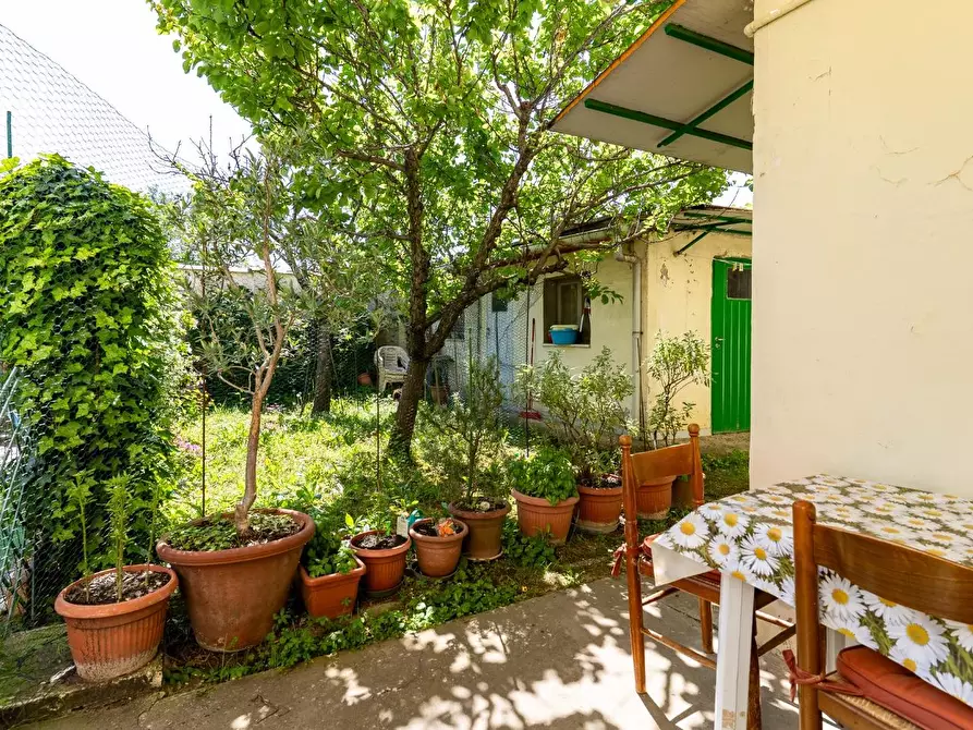 Immagine 43 di Terratetto in vendita  a Empoli