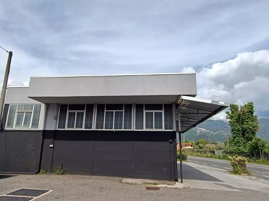 Immagine 2 di Attività artigianale in affitto  a Massa