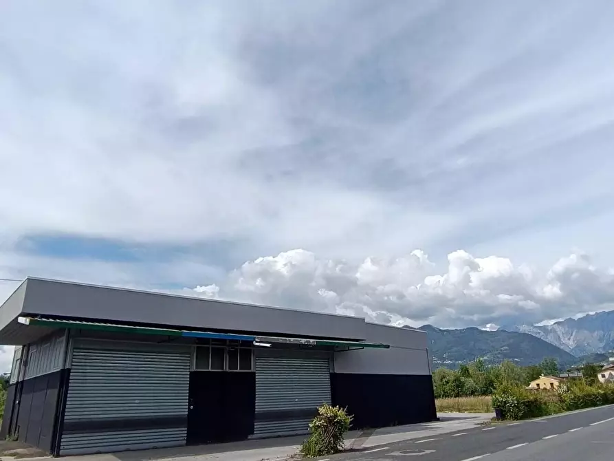 Immagine 6 di Attività artigianale in affitto  a Massa