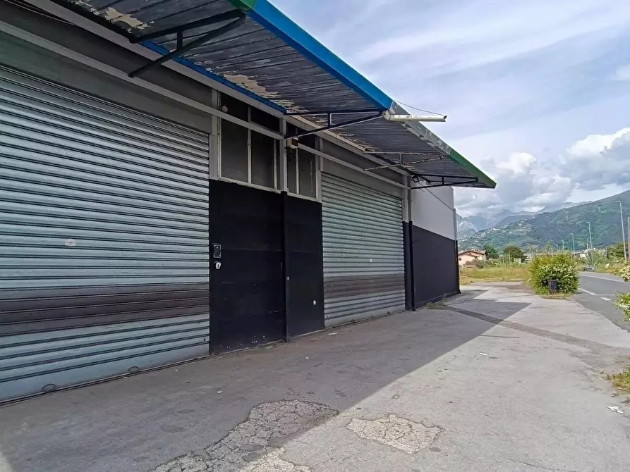 Immagine 1 di Attività artigianale in affitto  a Massa