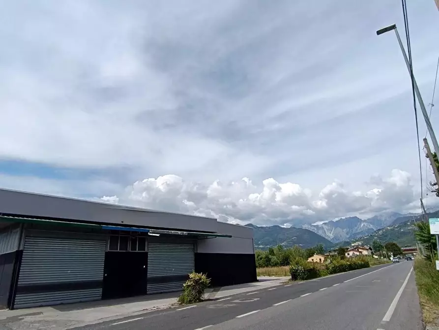 Immagine 5 di Attività artigianale in affitto  a Massa