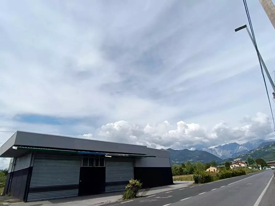 Immagine 8 di Attività artigianale in affitto  a Massa
