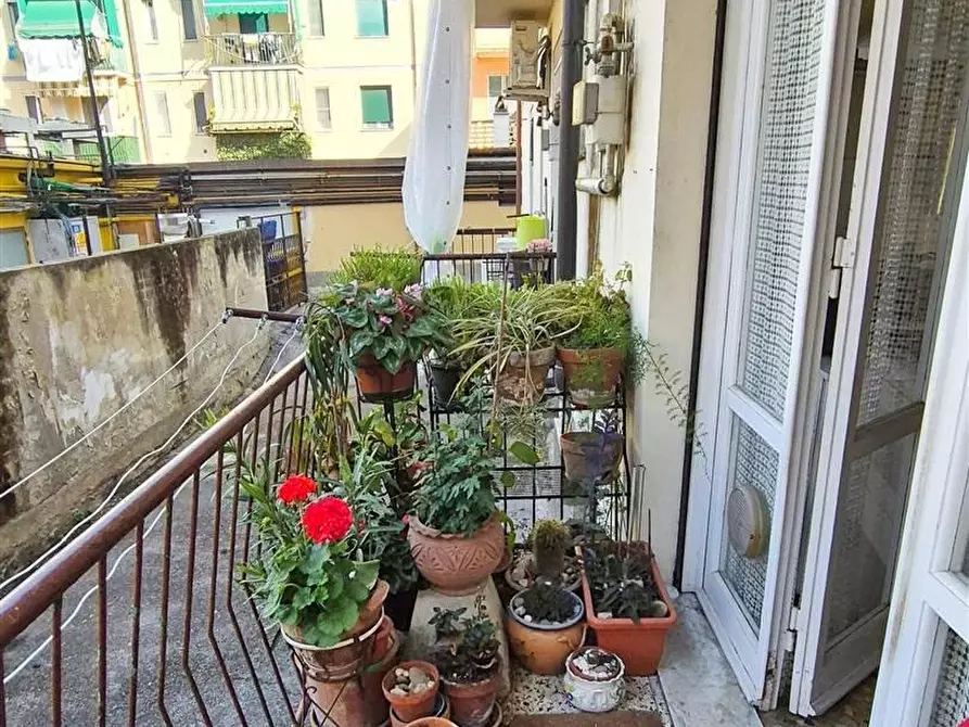Immagine 14 di Appartamento in vendita  a Pisa