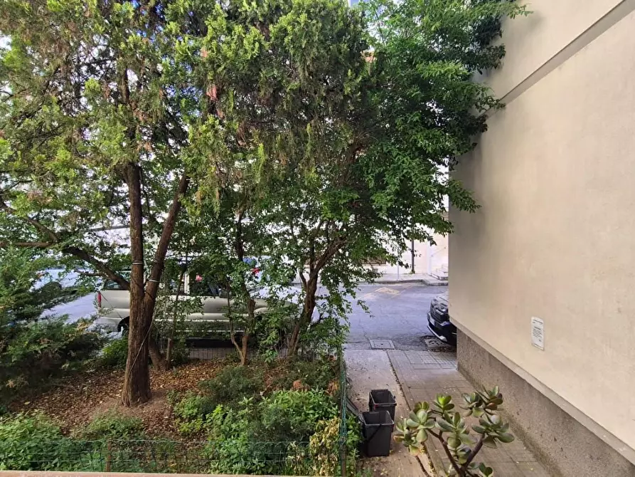 Immagine 19 di Appartamento in vendita  a Pisa
