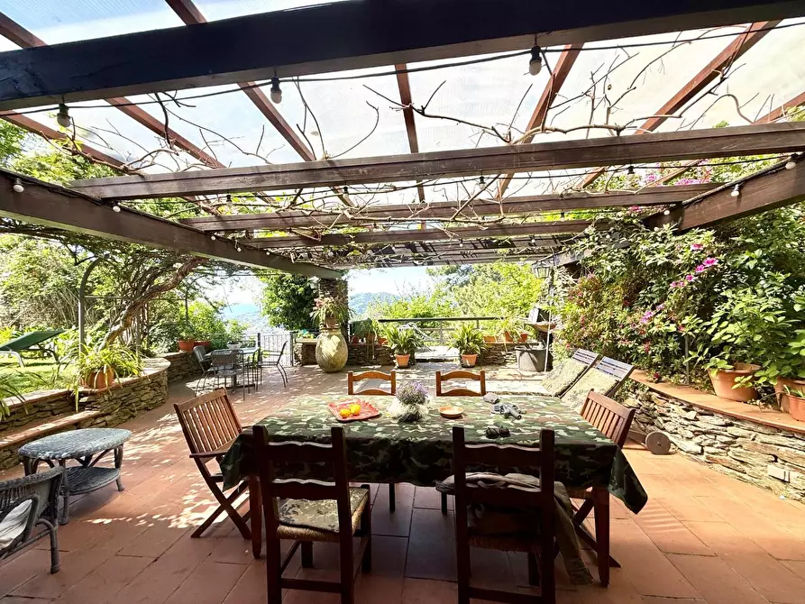 Immagine 14 di Villa in vendita  a Massa