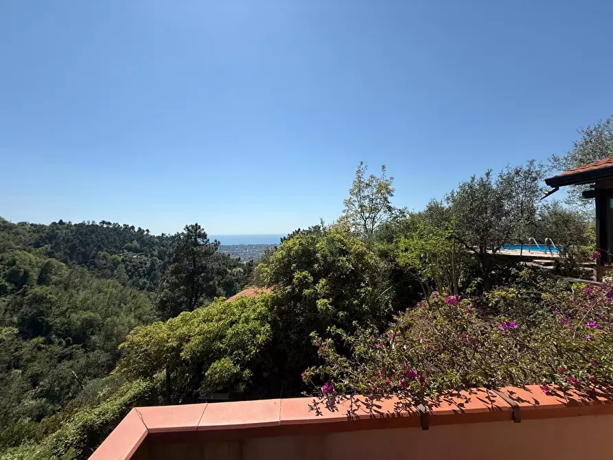 Immagine 18 di Villa in vendita  a Massa