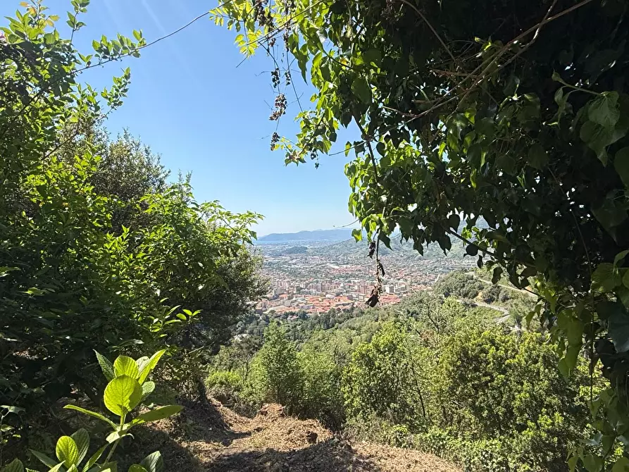 Immagine 7 di Villa in vendita  a Massa