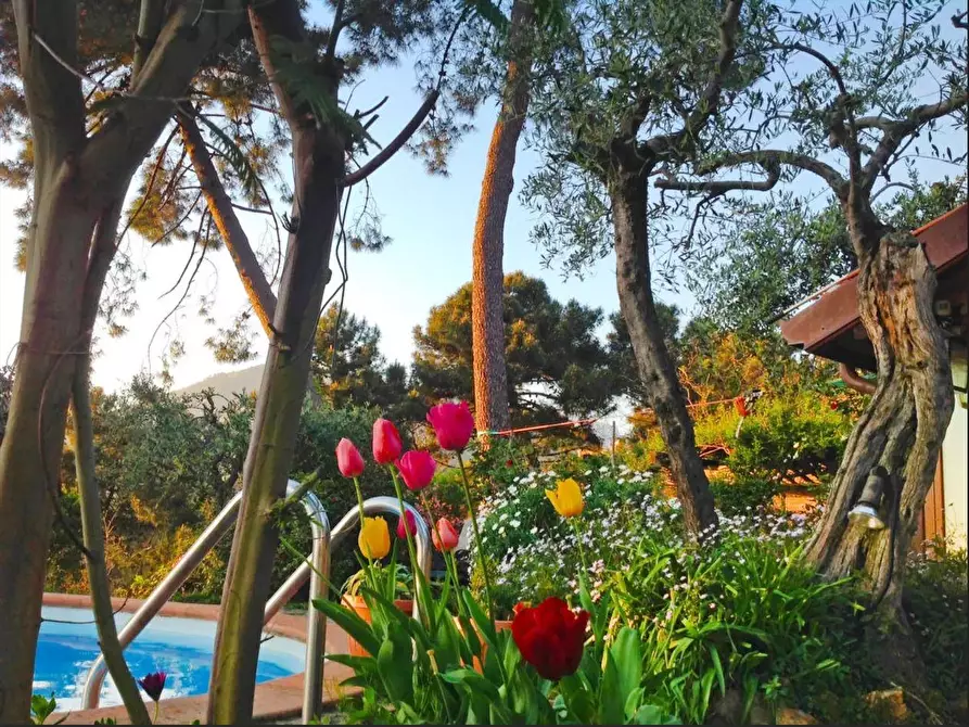 Immagine 28 di Villa in vendita  a Massa