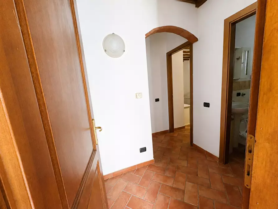 Immagine 7 di Appartamento in vendita  a Terricciola