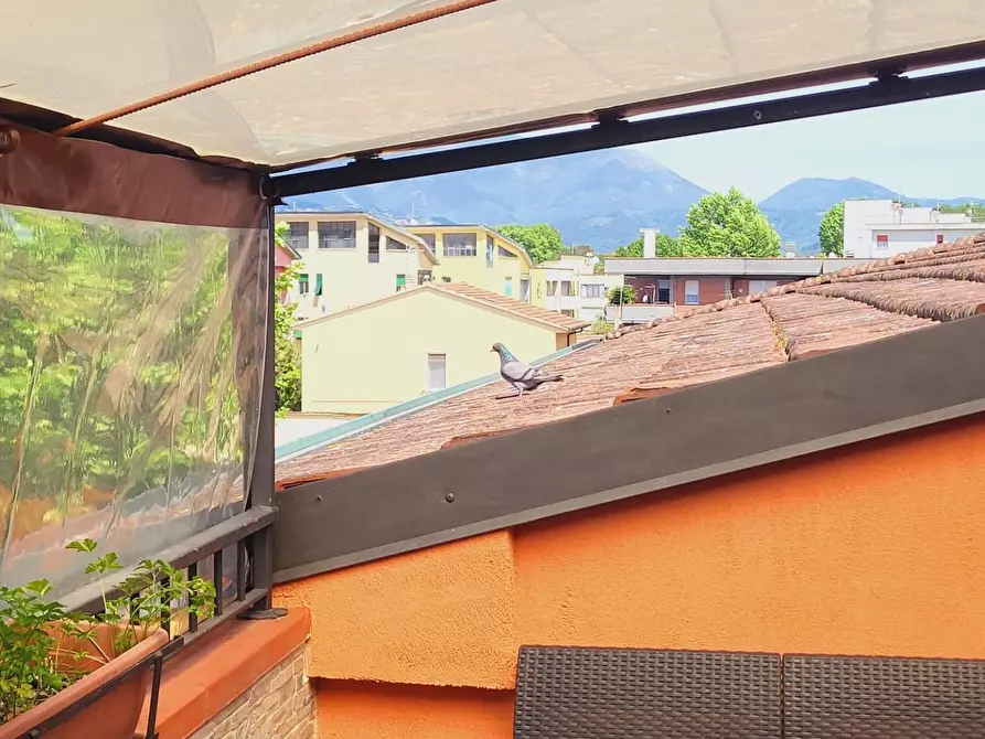 Immagine 51 di Terratetto in vendita  a Viareggio