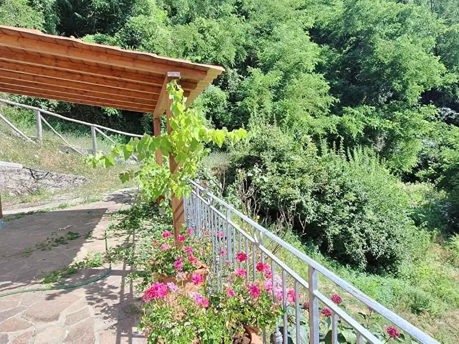 Immagine 26 di Casa colonica in vendita  a Pescaglia