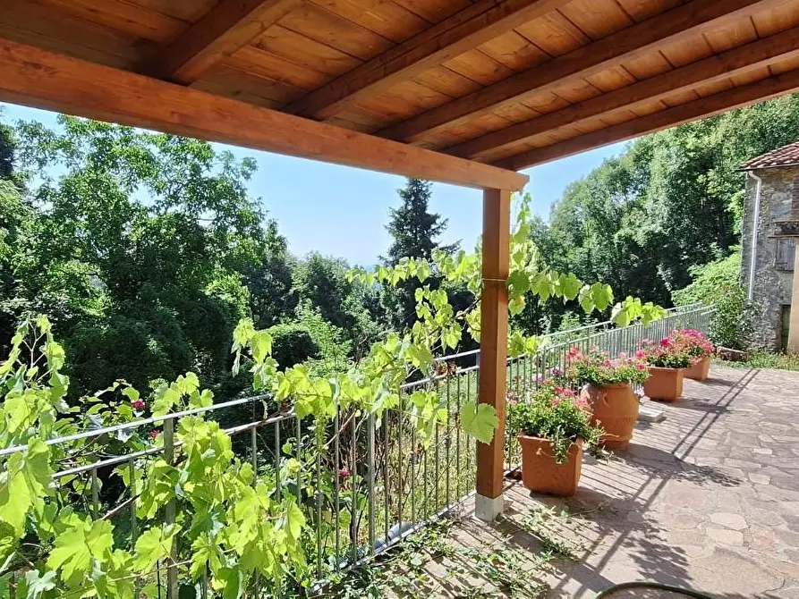 Immagine 6 di Casa colonica in vendita  a Pescaglia