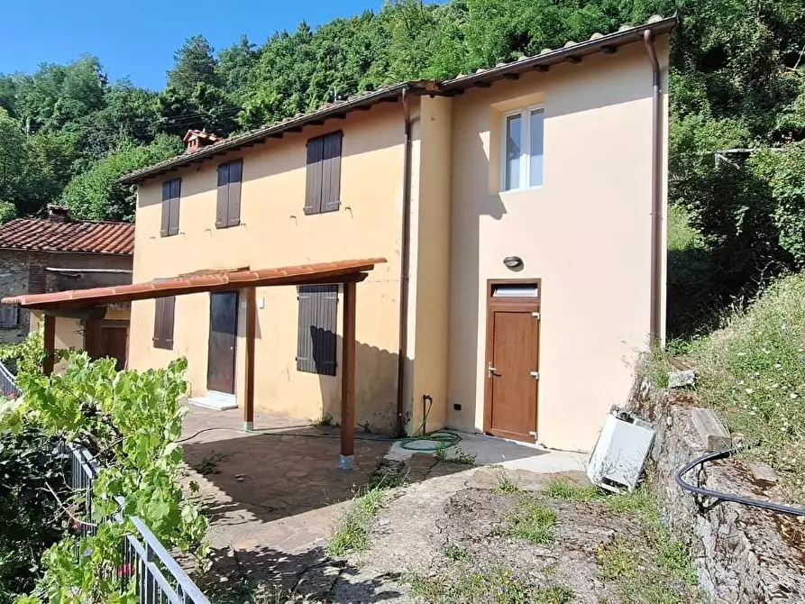 Immagine 4 di Casa colonica in vendita  a Pescaglia