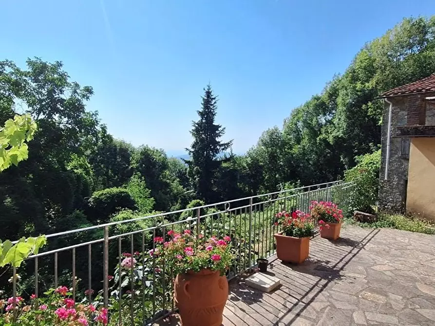 Immagine 7 di Casa colonica in vendita  a Pescaglia