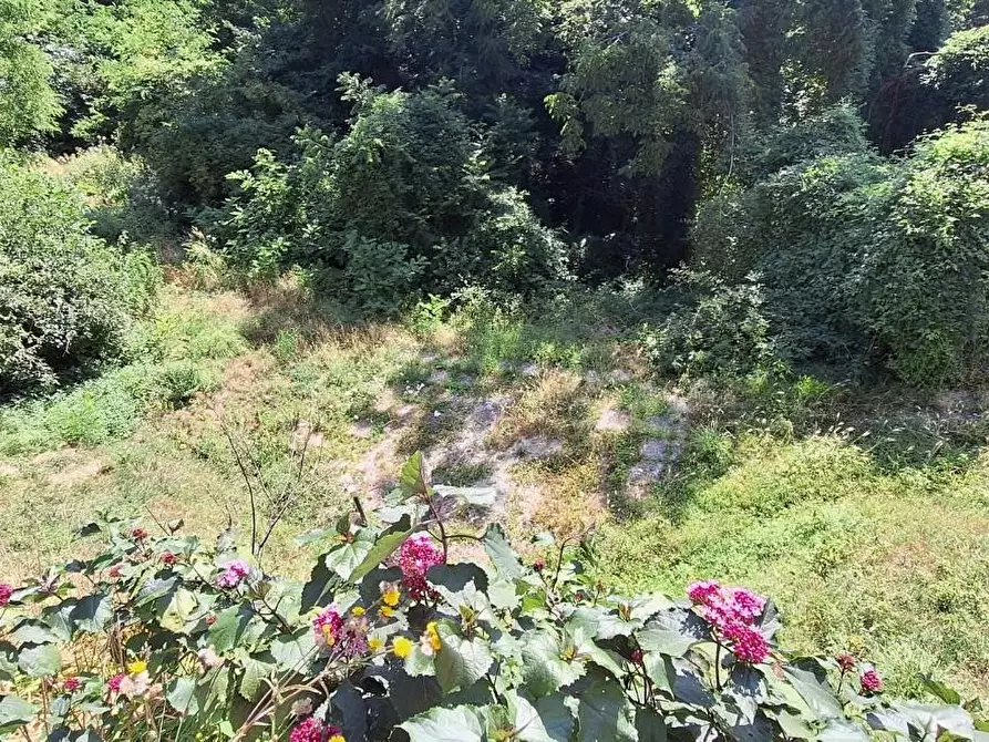 Immagine 8 di Casa colonica in vendita  a Pescaglia