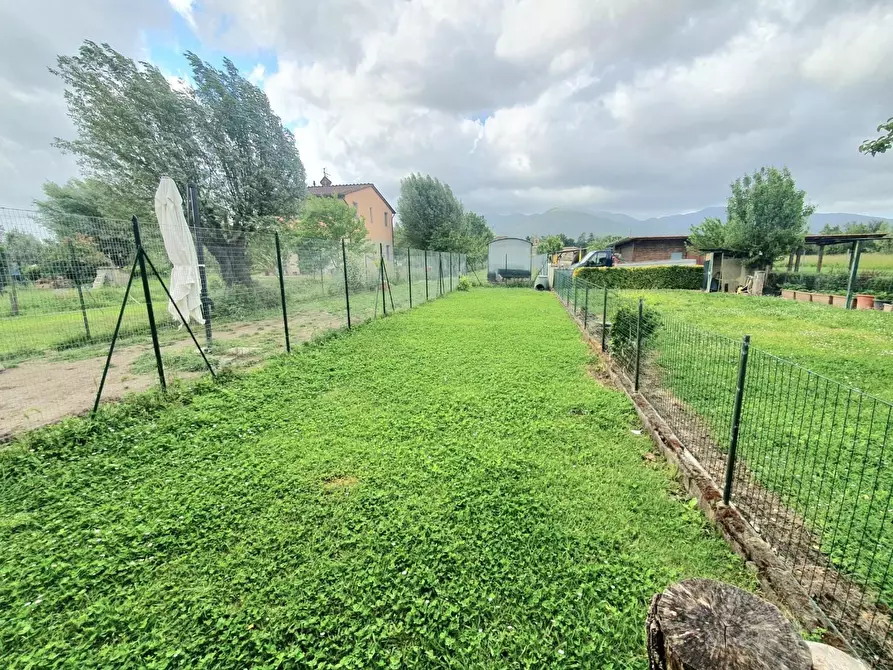 Immagine 3 di Terratetto in vendita  a Capannori